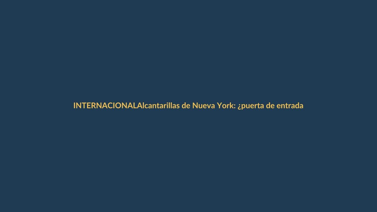 Alcantarillas de Nueva York: ¿puerta de entrada para inmigrantes?