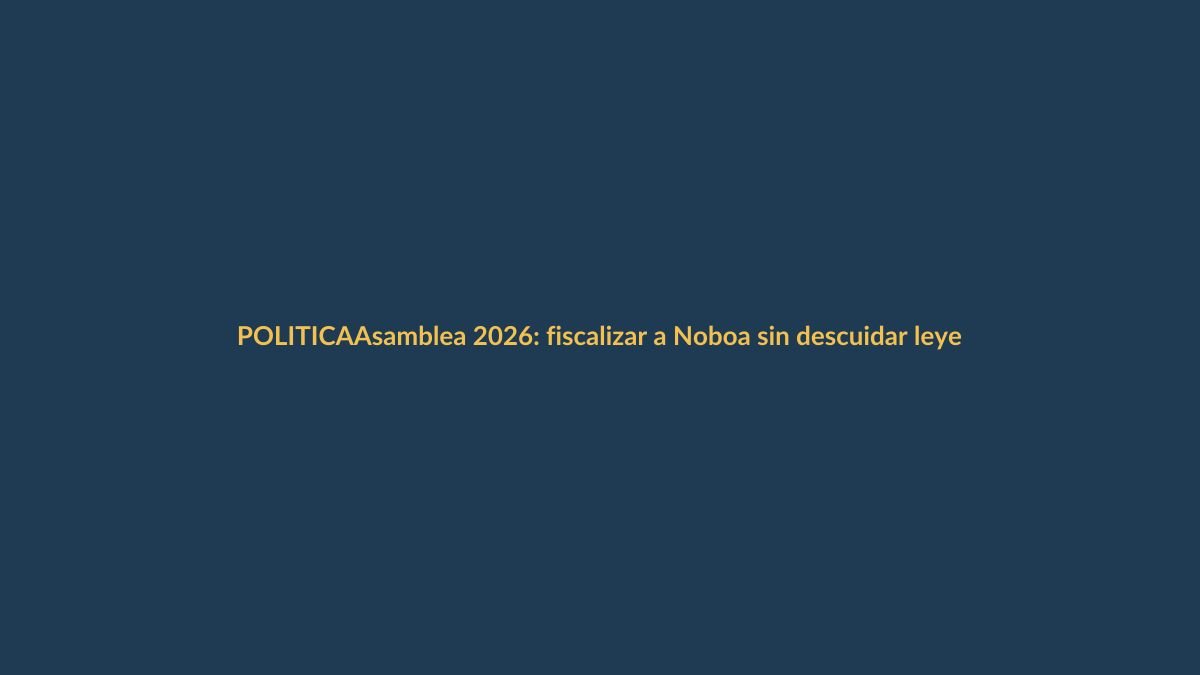 Asamblea 2026: fiscalizar a Noboa sin descuidar leyes clave