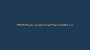 Asamblea Constituyente: ¿el TCE puede destituir autoridades a favor del Gobierno?