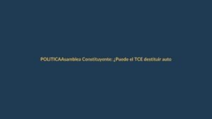 Asamblea Constituyente: ¿Puede el TCE destituir autoridades por orden del Gobierno?