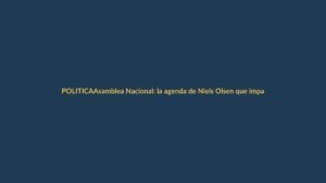 Asamblea Nacional: la agenda de Niels Olsen que impacta a Loja