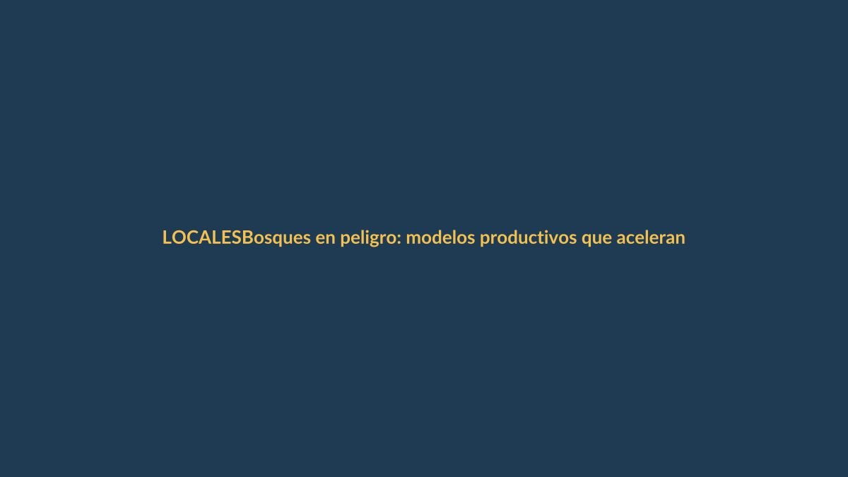 Bosques en peligro: modelos productivos que aceleran su desaparición en Ecuador
