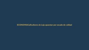 Caficultores de Loja apuestan por secado de calidad para competir en mercados internacionales