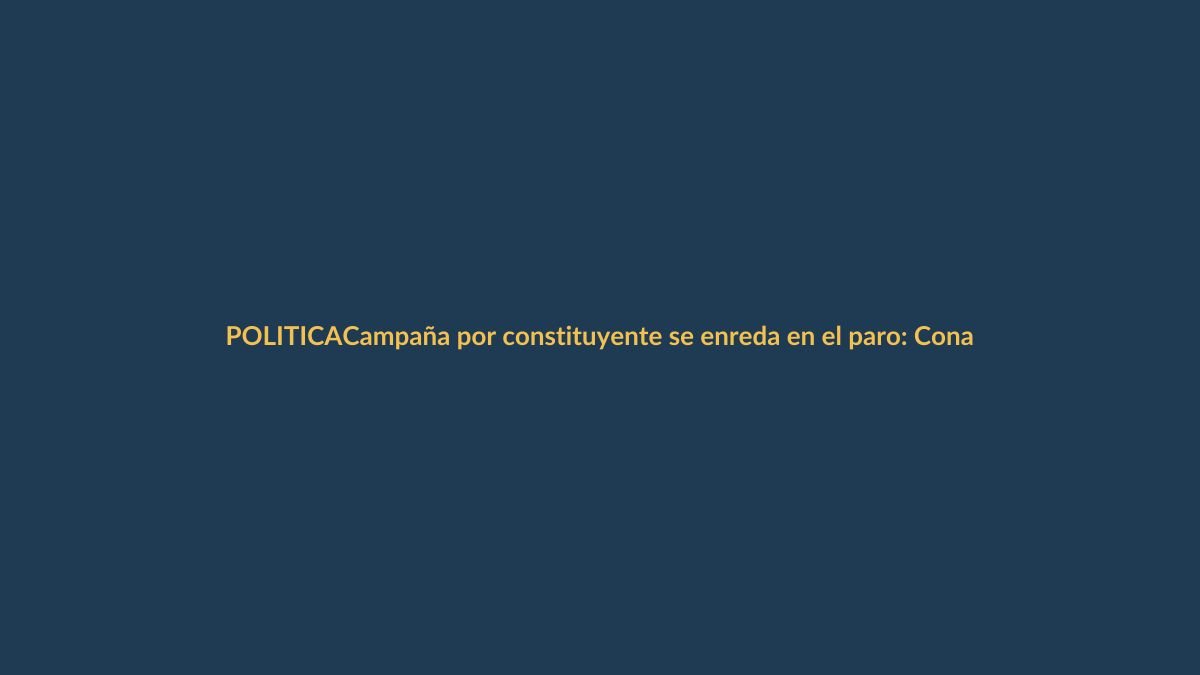 Campaña por constituyente se enreda en el paro: Conaie llama al ‘no’ y Gobierno defiende consulta