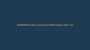 Cannabis no psicoactivo: 30.000 empleos y US$ 17 millones en ventas para 2025