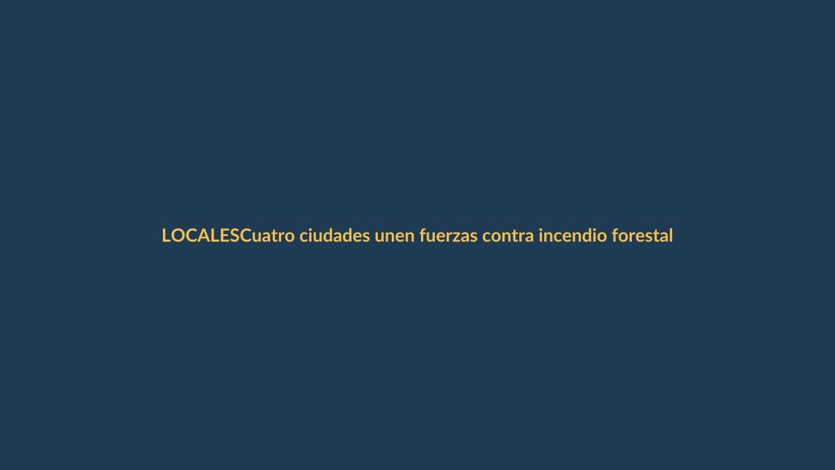 Cuatro ciudades unen fuerzas contra incendio forestal en Loja