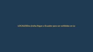 Dos jirafas llegan a Ecuador para ser exhibidas en Loja