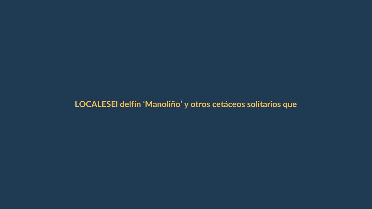 El delfín ‘Manoliño’ y otros cetáceos solitarios que buscan contacto humano en las costas ecuatorianas