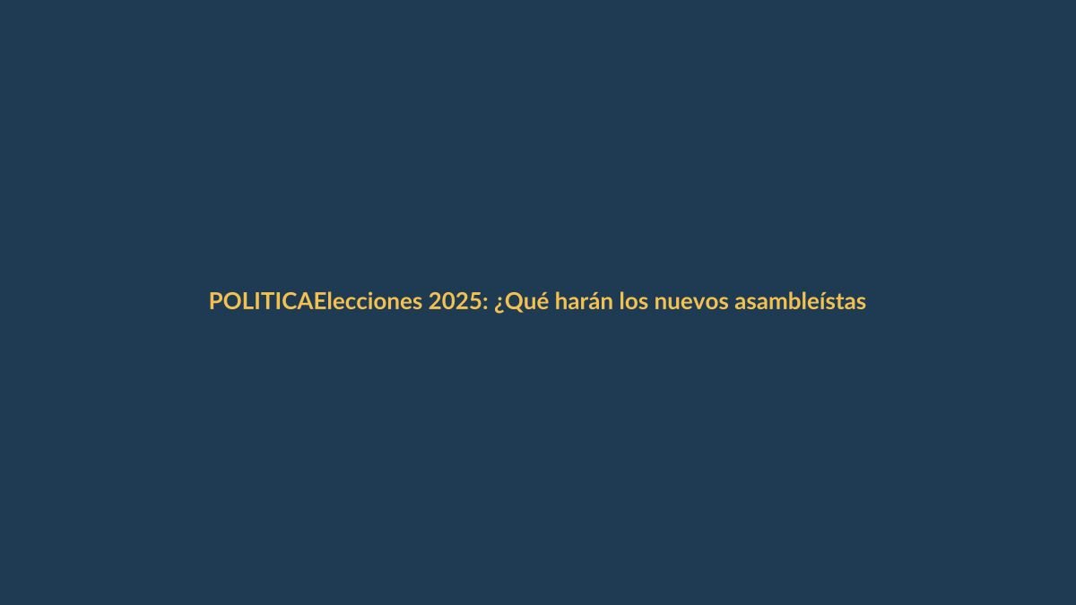 Elecciones 2025: ¿Qué harán los nuevos asambleístas por Loja?