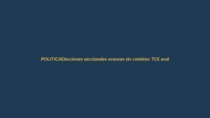 Elecciones seccionales avanzan sin cambios: TCE avala el 29 de noviembre