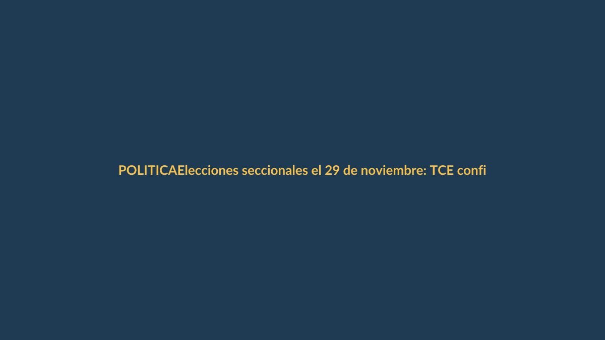 Elecciones seccionales el 29 de noviembre: TCE confirma que cambio de fecha no afecta las reglas
