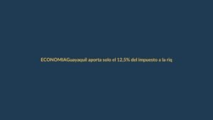 Guayaquil aporta solo el 12,5% del impuesto a la riqueza: ¿y Loja?