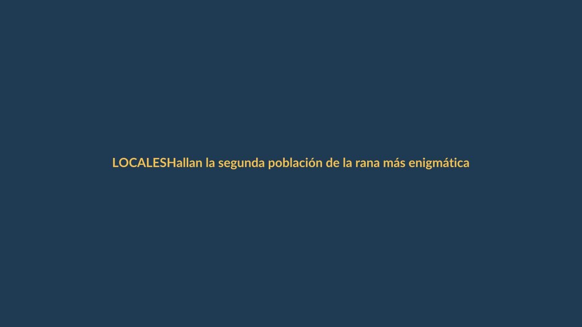 Hallan la segunda población de la rana más enigmática de Ecuador en Loja
