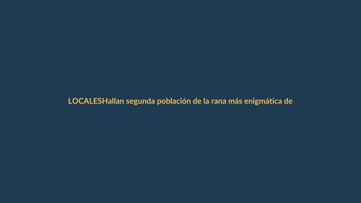 Hallan segunda población de la rana más enigmática de Ecuador en Loja