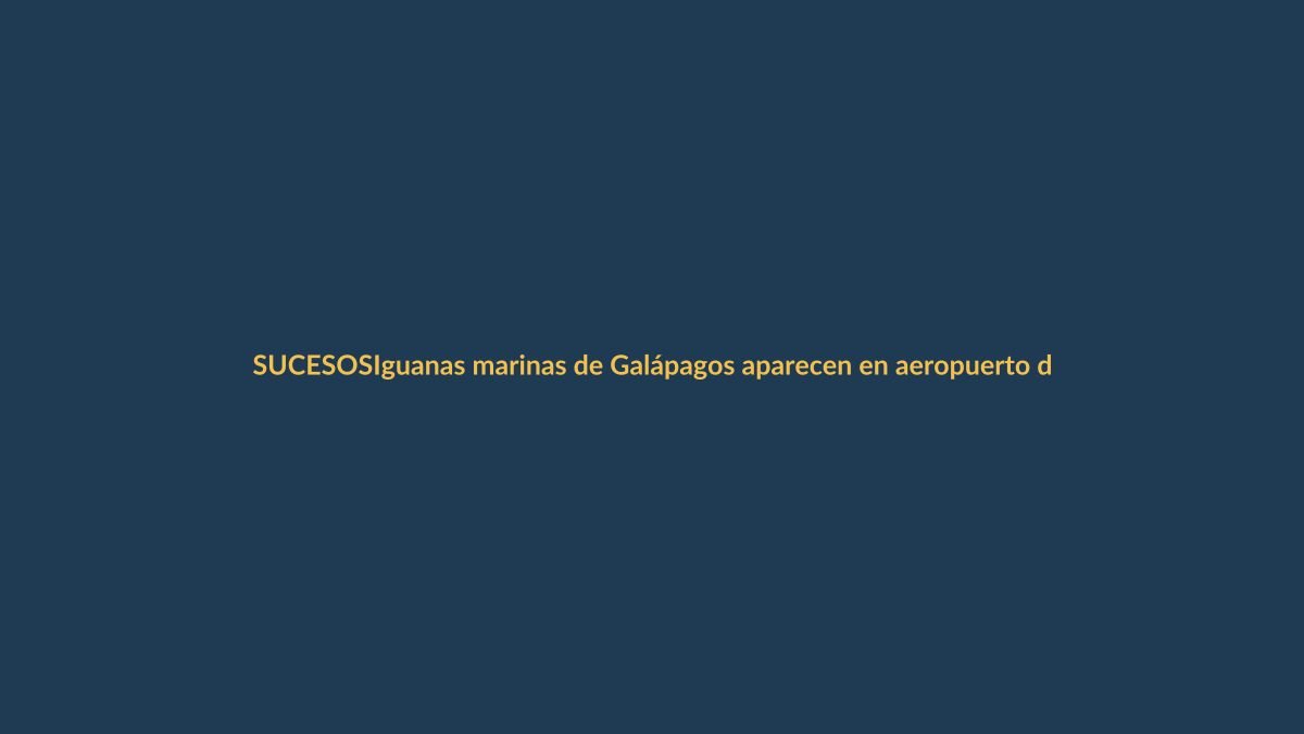 Iguanas marinas de Galápagos aparecen en aeropuerto de Ecuador: ¿qué pasó?