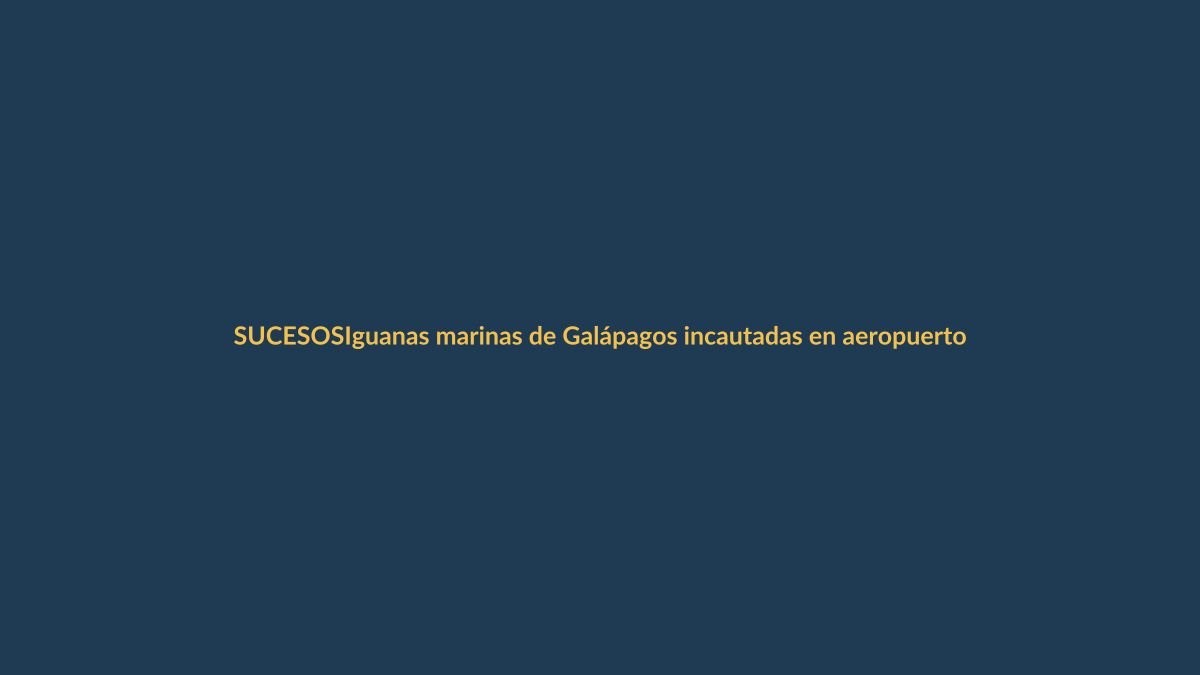 Iguanas marinas de Galápagos incautadas en aeropuerto: el tráfico de especies no descansa