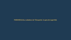 La cuidadora de ‘Choupette’, la gata de Lagerfeld, aún no ve el dinero de la herencia