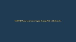 La herencia de la gata de Lagerfeld: cuidadora dice que no ha recibido ni un euro