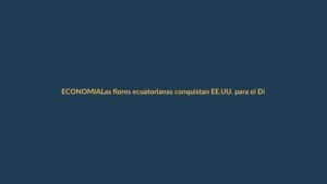 Las flores ecuatorianas conquistan EE.UU. para el Día de las Madres