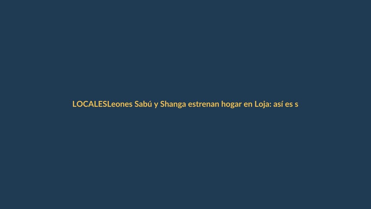 Leones Sabú y Shanga estrenan hogar en Loja: así es su nuevo refugio