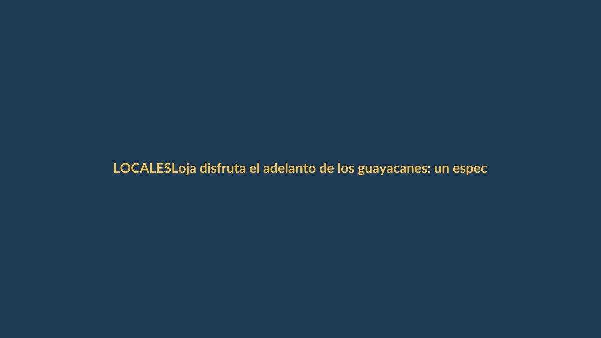 Loja disfruta el adelanto de los guayacanes: un espectáculo natural sin precedentes