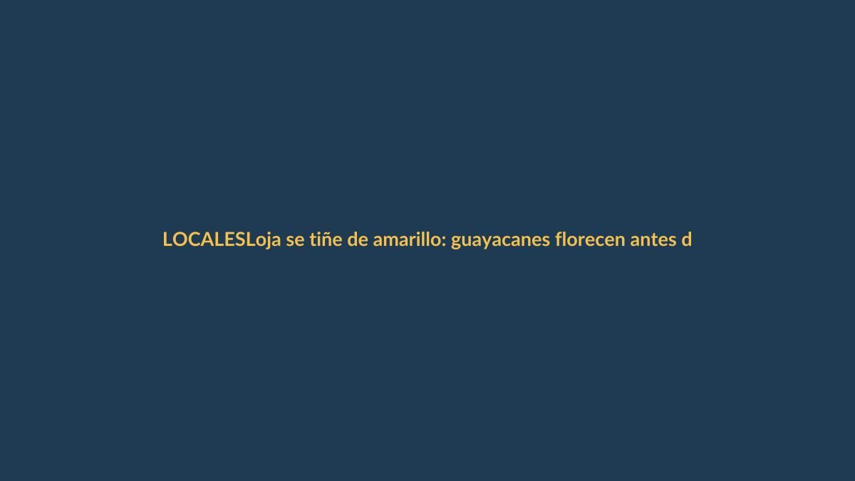 Loja se tiñe de amarillo: guayacanes florecen antes de tiempo
