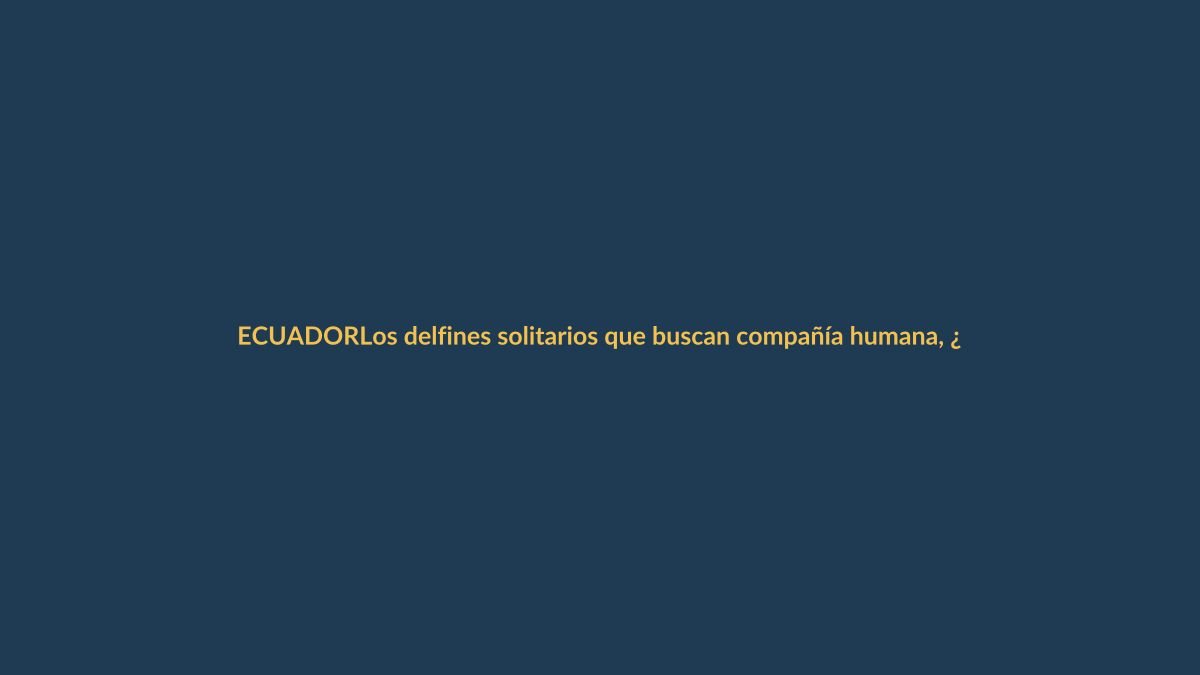 Los delfines solitarios que buscan compañía humana, ¿una señal de alarma?