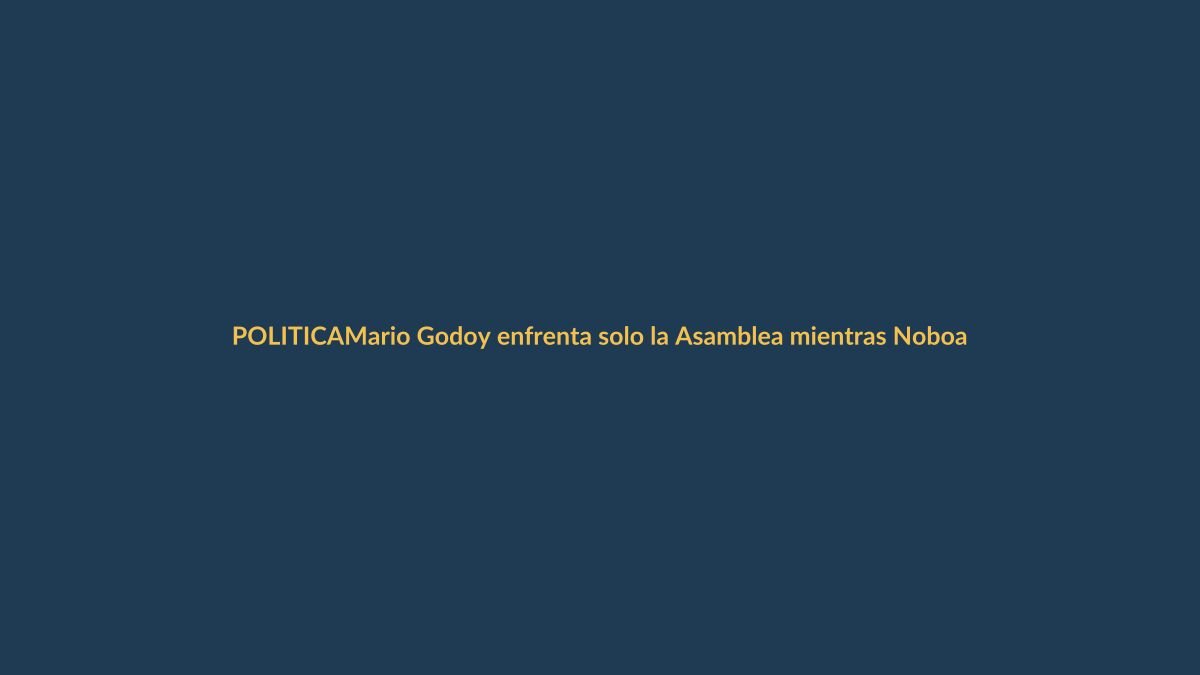 Mario Godoy enfrenta solo la Asamblea mientras Noboa guarda silencio