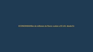 Miles de millones de flores vuelan a EE.UU. desde Ecuador para el Día de la Madre