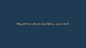 Muerte en las carreteras: 200 linces atropellados frenan su recuperación, pero la especie suma 2.663 ejemplares