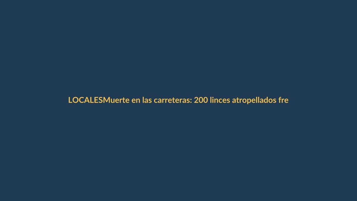 Muerte en las carreteras: 200 linces atropellados frenan su recuperación, pero la especie suma 2.663 ejemplares