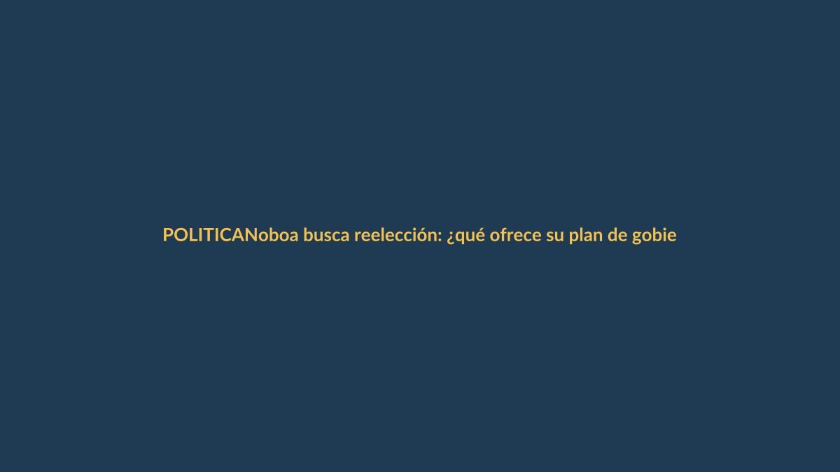 Noboa busca reelección: ¿qué ofrece su plan de gobierno?