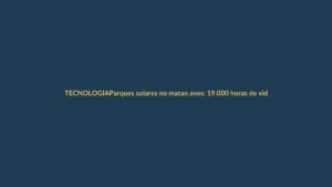 Parques solares no matan aves: 19.000 horas de video lo prueban