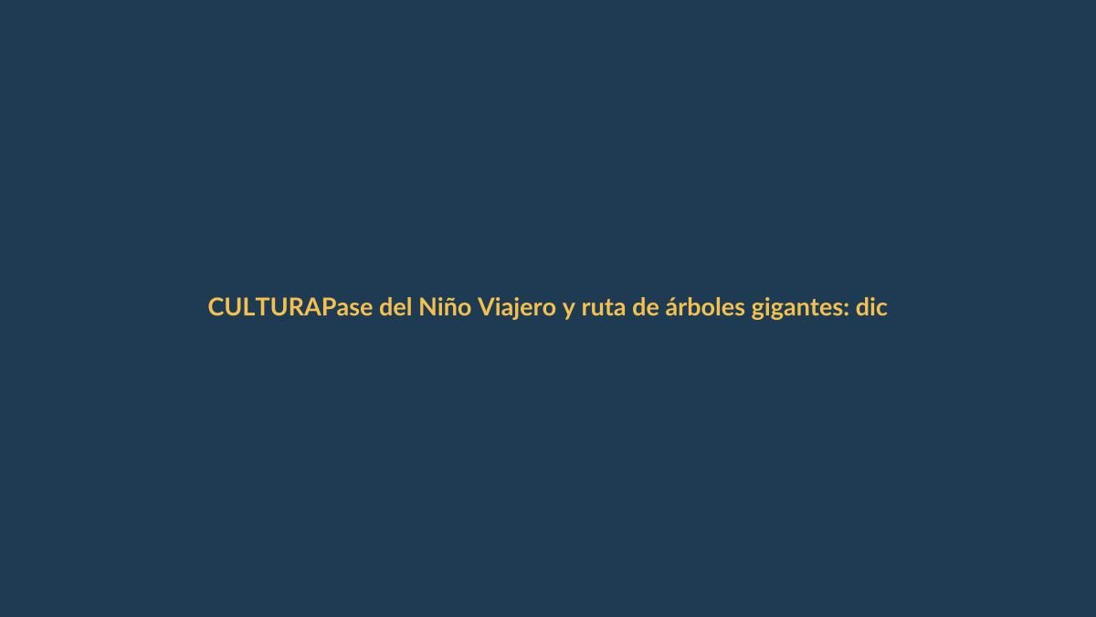 Pase del Niño Viajero y ruta de árboles gigantes: diciembre 2025 en Ecuador