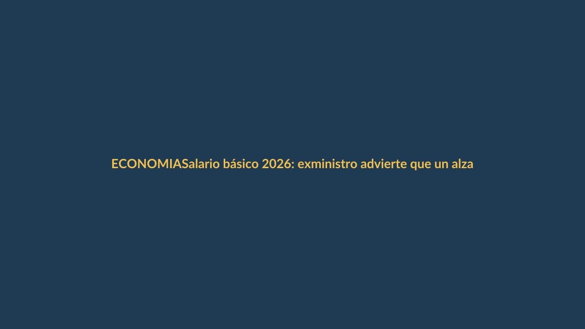 Salario básico 2026: exministro advierte que un alza excesiva podría frenar la economía