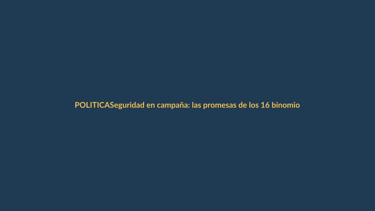 Seguridad en campaña: las promesas de los 16 binomios para las Elecciones 2025