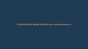 Un delfín llamado ‘Manoliño’ busca compañía humana en las costas ecuatorianas