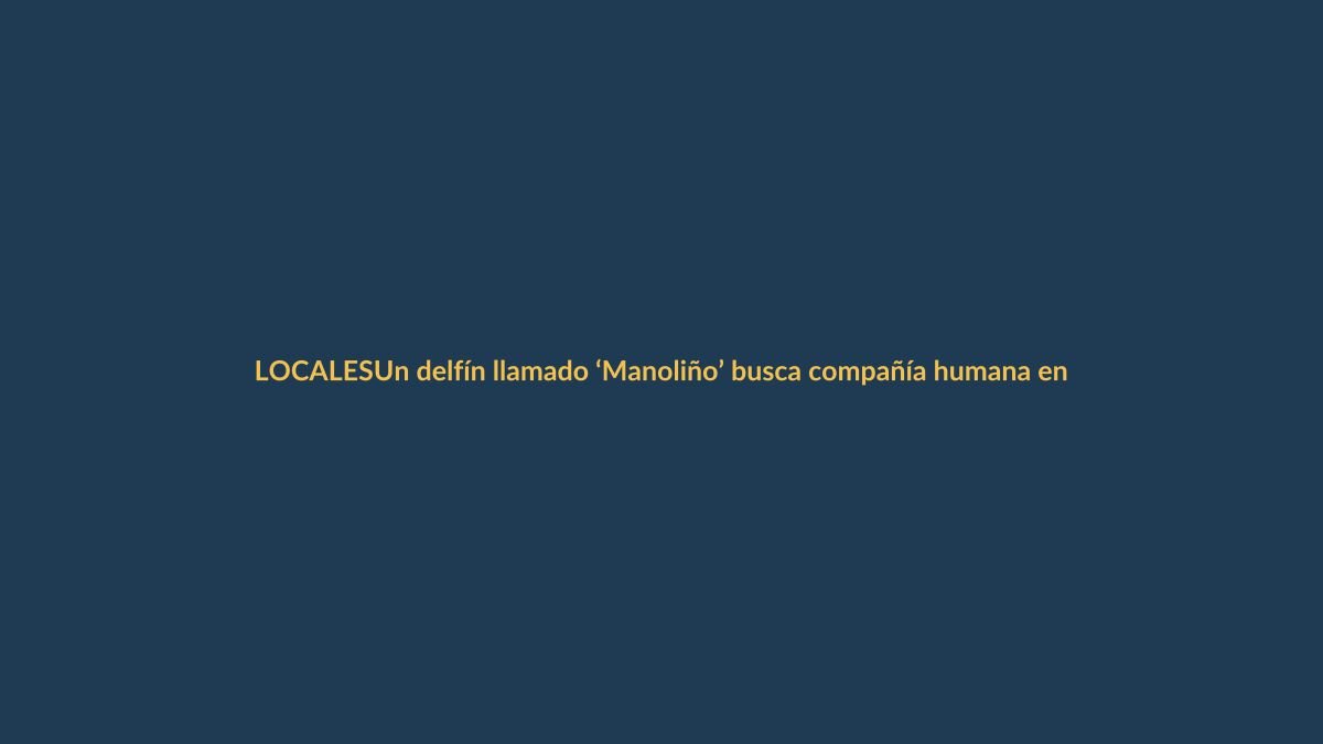 Un delfín llamado ‘Manoliño’ busca compañía humana en las costas ecuatorianas