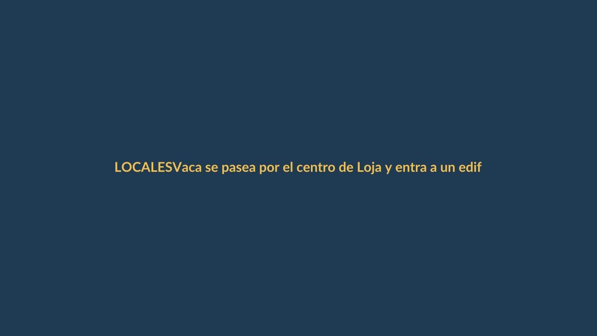 Vaca se pasea por el centro de Loja y entra a un edificio