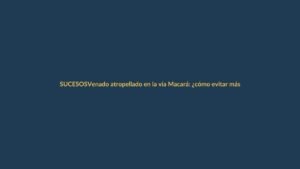 Venado atropellado en la vía Macará: ¿cómo evitar más accidentes?