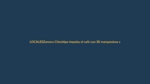 Zamora Chinchipe impulsa el café con 38 marquesinas solares