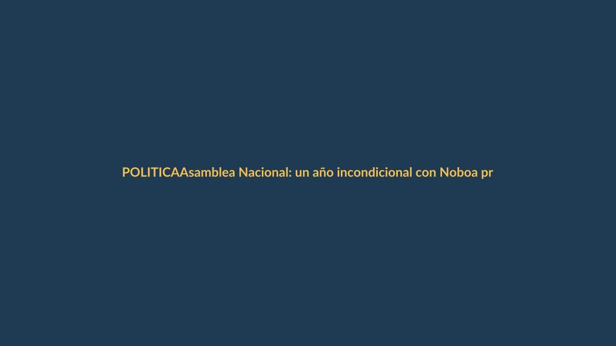 Asamblea Nacional: un año incondicional con Noboa preocupa a Loja
