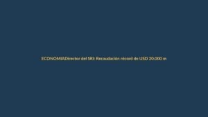 Director del SRI: Recaudación récord de USD 20.000 millones en 2024 no solo por IVA