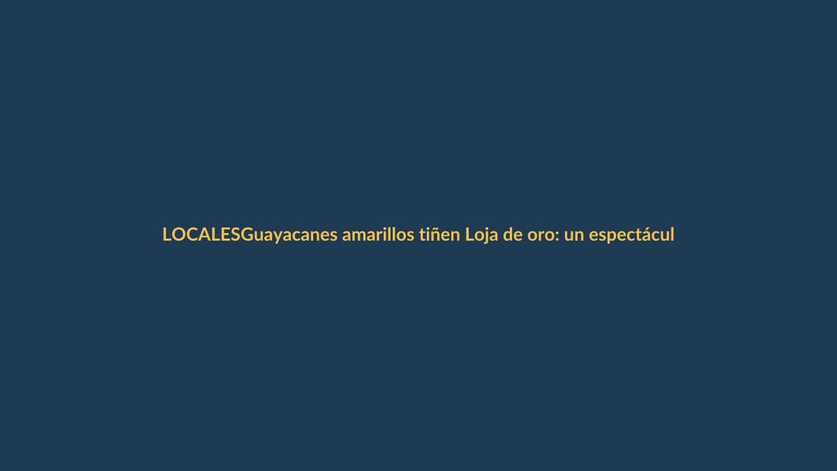 Guayacanes amarillos tiñen Loja de oro: un espectáculo natural imperdible