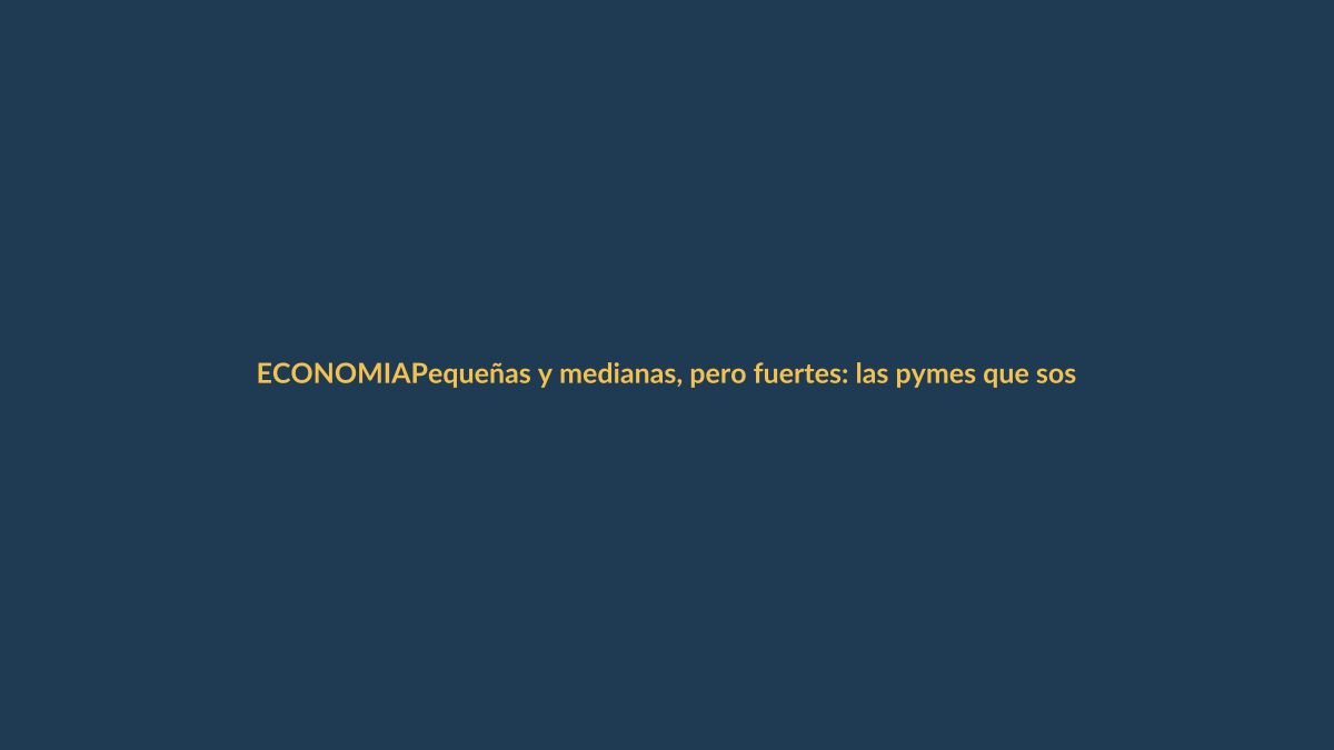 Pequeñas y medianas, pero fuertes: las pymes que sostienen a Loja