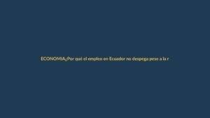 ¿Por qué el empleo en Ecuador no despega pese a la reactivación?