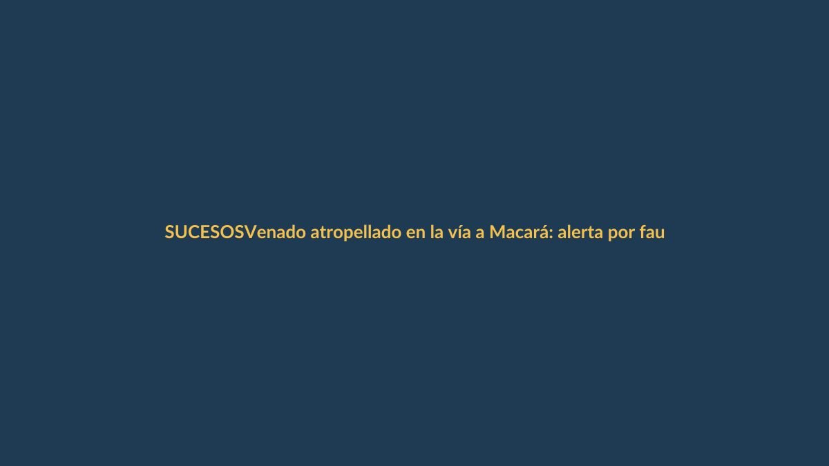 Venado atropellado en la vía a Macará: alerta por fauna silvestre en carreteras de Loja